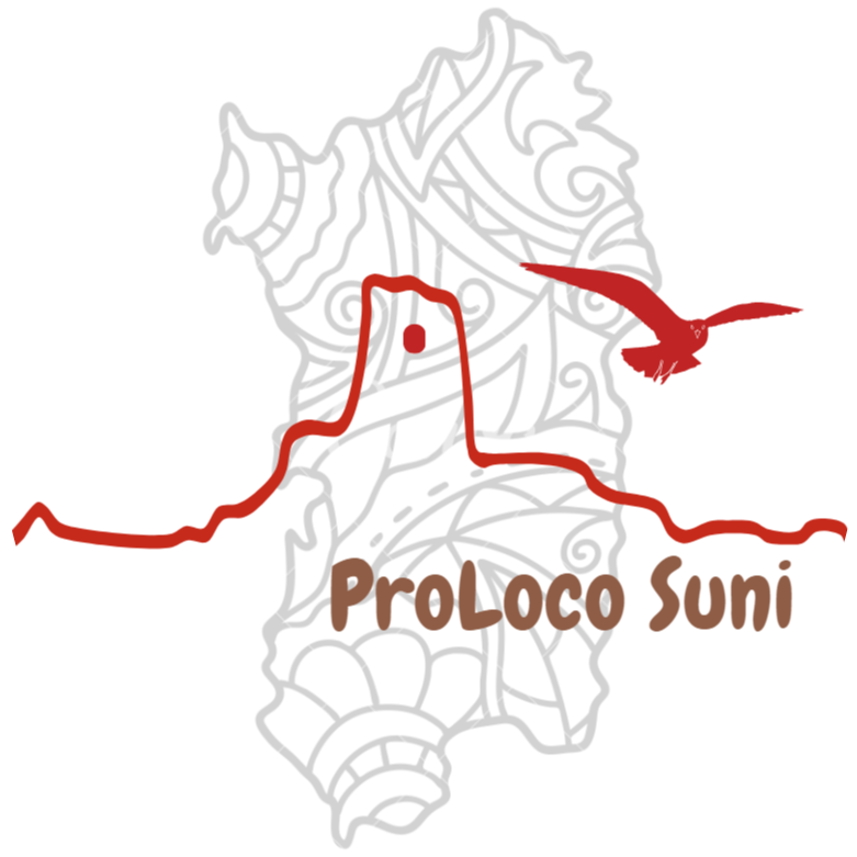 PROLOCO_SUNI